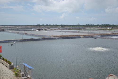 ��ԭ֮��ZP����ҵ��־