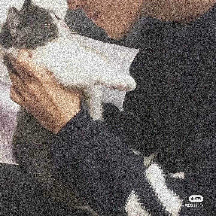 Ă(g)˺(jin)v